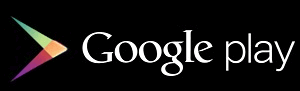 play_full_logo